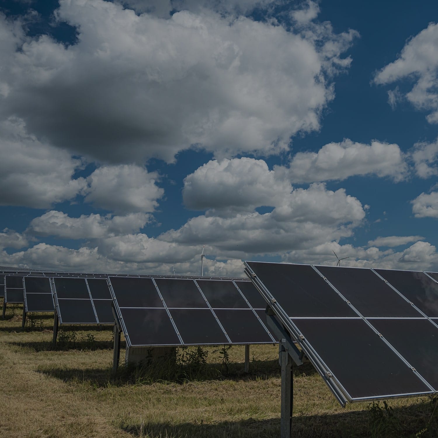 Solar Cables